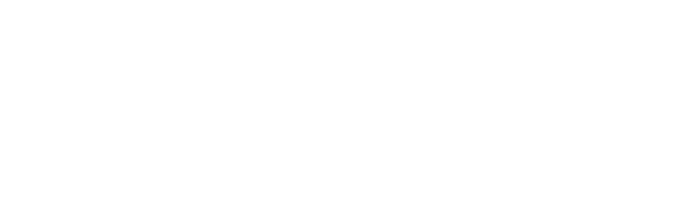 logo vizum.sk Міграційні та візові консультації
