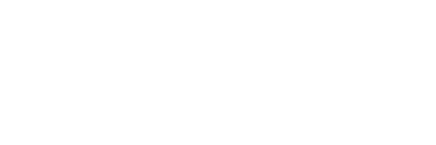 logo vizum.sk migračné a vízové poradenstvo prechodný pobyt cudzincov vízum