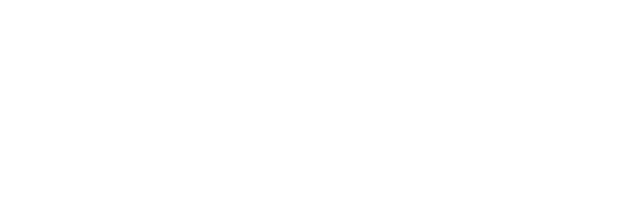 Vízum.sk - Consultoría de migración y visados - logotipo