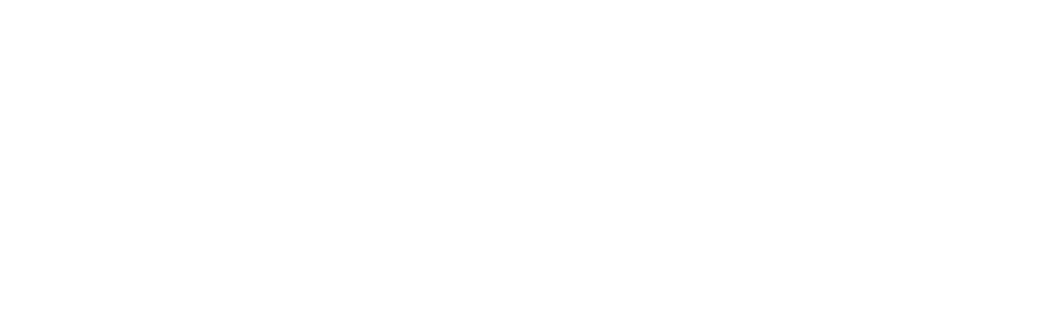 Vízum.sk - Migračné a vízové poradenstvo - logo